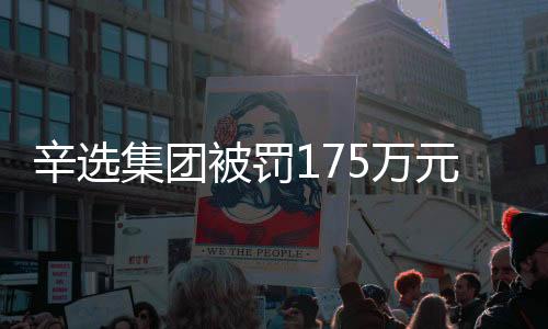 辛選集團(tuán)被罰175萬元，揭示違規(guī)事實(shí)及行業(yè)反思