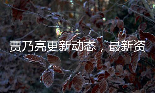 賈乃亮更新動(dòng)態(tài)，最新資訊與深度解讀