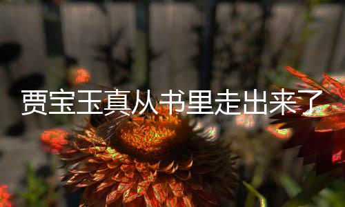 賈寶玉真從書里走出來了，一場奇幻的文化盛宴