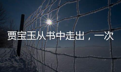 賈寶玉從書中走出，一次跨越時空的奇遇