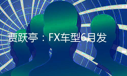 賈躍亭：FX車(chē)型6月發(fā)布首款產(chǎn)品 年內(nèi)首車(chē)下線并產(chǎn)生收入