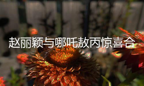 趙麗穎與哪吒敖丙驚喜合影，跨界合作引發(fā)粉絲熱議