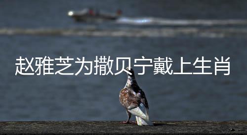 趙雅芝為撒貝寧戴上生肖帽，傳統(tǒng)文化與現(xiàn)代熒屏的完美結(jié)合