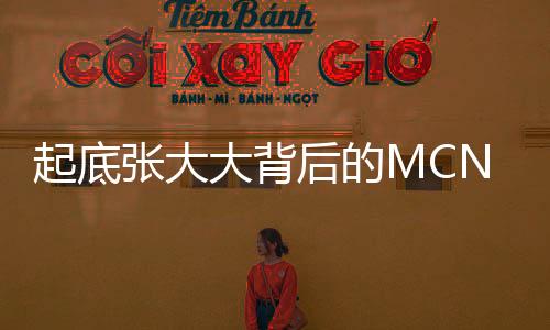 起底張大大背后的MCN公司，揭秘網(wǎng)紅背后的神秘力量