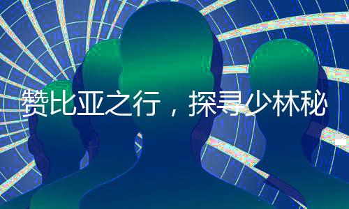 贊比亞之行，探尋少林秘境的獨特體驗