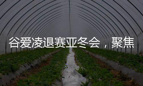 谷愛凌退賽亞冬會，聚焦背后原因及展望