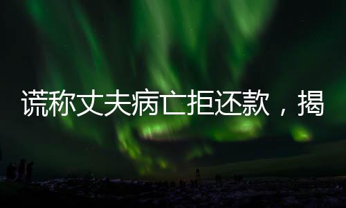 謊稱丈夫病亡拒還款，揭示背后的真相與法律探討