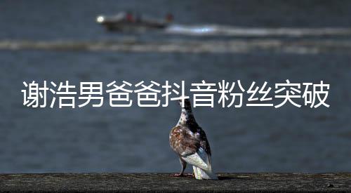謝浩男爸爸抖音粉絲突破百萬大關(guān)，一段閃耀的網(wǎng)絡(luò)之旅