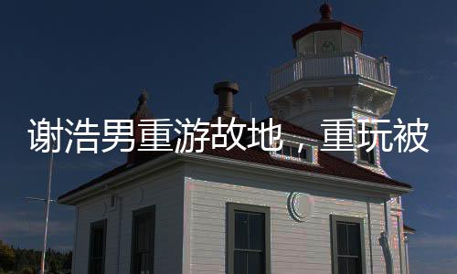 謝浩男重游故地，重玩被拐前坐過的搖搖車——一個引人關(guān)注的新聞故事
