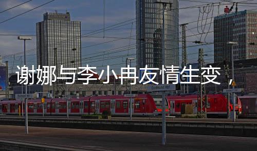 謝娜與李小冉友情生變，探究鬧掰背后的原因