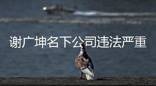 謝廣坤名下公司違法嚴重，涉嫌違規(guī)行為引關(guān)注