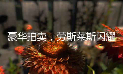 豪華拍賣，勞斯萊斯閃耀成交，510萬天價揭曉