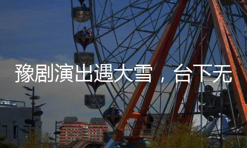 豫劇演出遇大雪，臺下無人演員仍傾情獻(xiàn)藝——戲劇的堅(jiān)守與傳承