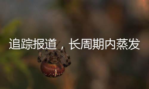 追蹤報(bào)道，長周期內(nèi)蒸發(fā)323億，深度解析事件始末