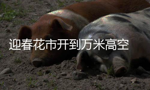 迎春花市開(kāi)到萬(wàn)米高空 航司開(kāi)展迎新春主題航班活動(dòng)