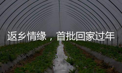 返鄉(xiāng)情緣，首批回家過年者即將步入訂婚殿堂