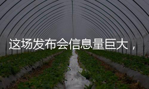 這場(chǎng)發(fā)布會(huì)信息量巨大，揭秘前沿科技與行業(yè)動(dòng)態(tài)的重大更新