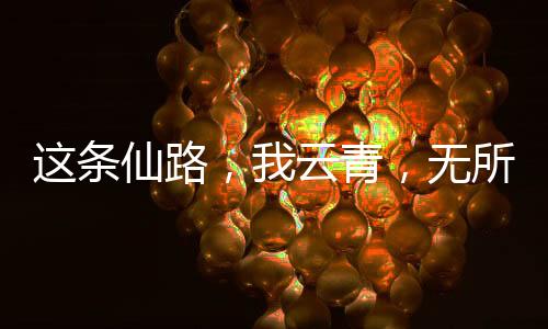 這條仙路，我云青，無所不用其極