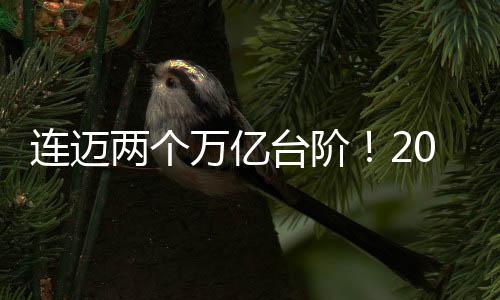 連邁兩個(gè)萬億臺階！2024年我國進(jìn)出口總值達(dá)43.85萬億元