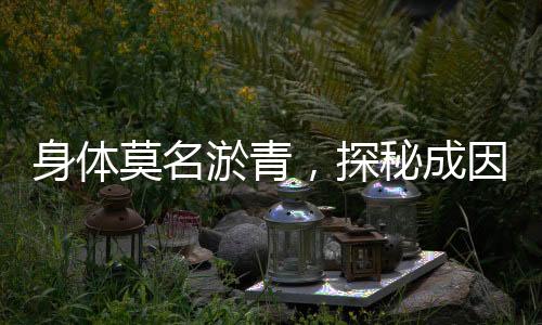 身體莫名淤青，探秘成因及應對之道