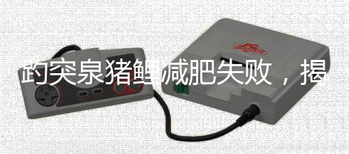 趵突泉豬鯉減肥失敗，揭秘背后原因引發(fā)關注