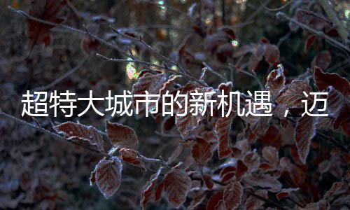 超特大城市的新機遇，邁向未來的一二三三四五六七八九十挑戰(zhàn)與機遇