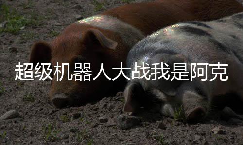 超級(jí)機(jī)器人大戰(zhàn)我是阿克塞爾