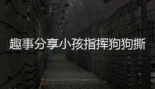 趣事分享小孩指揮狗狗撕作業(yè)，純真笑容藏不住