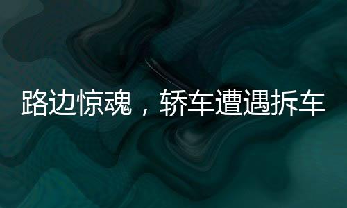 路邊驚魂，轎車遭遇拆車式犬群圍攻