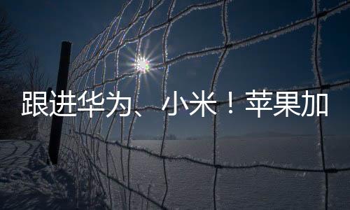 跟進華為、小米！蘋果加緊開發(fā)Apple Watch血壓功能：明年亮相