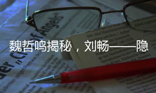 魏哲鳴揭秘，劉暢——隱秘而陰暗的前夫哥