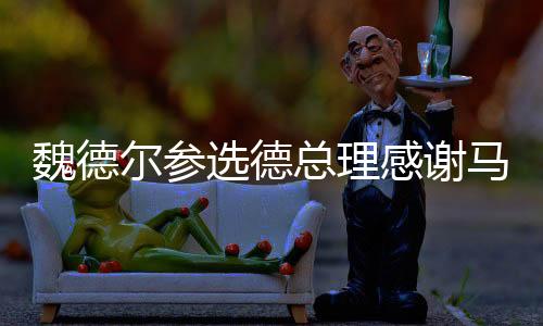 魏德爾參選德總理感謝馬斯克，聚焦政治與商業(yè)交匯點