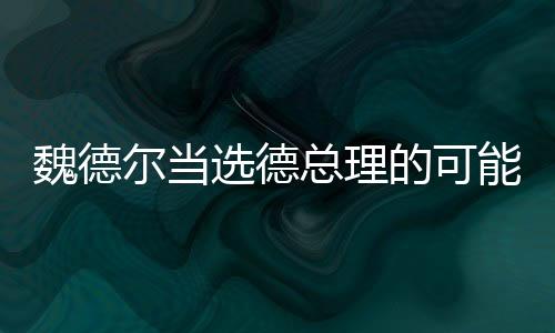 魏德?tīng)柈?dāng)選德總理的可能性分析，前景展望與多元因素考量