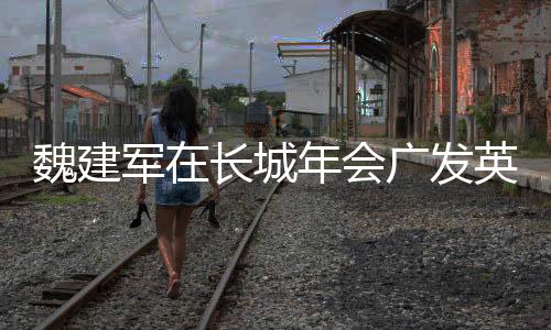 魏建軍在長(zhǎng)城年會(huì)廣發(fā)英雄帖，共筑產(chǎn)業(yè)未來(lái)