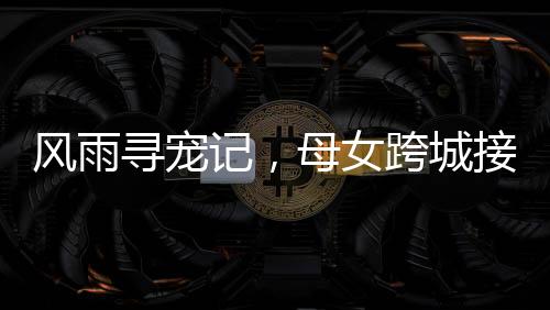 風(fēng)雨尋寵記，母女跨城接回被親戚抱走的家中小狗