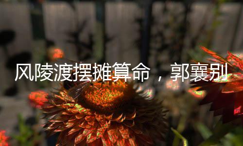 風(fēng)陵渡擺攤算命，郭襄別戀移情