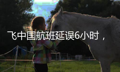 飛中國(guó)航班延誤6小時(shí)，機(jī)長(zhǎng)忘帶護(hù)照，引發(fā)關(guān)注與反思
