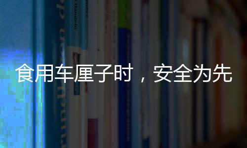 食用車?yán)遄訒r(shí)，安全為先，避免咬破果核