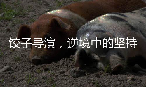 餃子導(dǎo)演，逆境中的堅(jiān)持贏得機(jī)遇