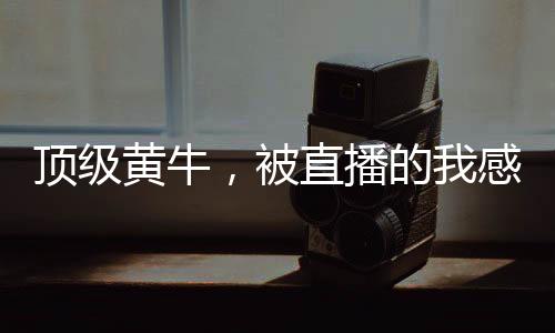 頂級(jí)黃牛，被直播的我感動(dòng)全網(wǎng)！