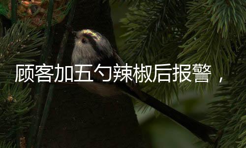 顧客加五勺辣椒后報(bào)警，事件背后的反思與啟示