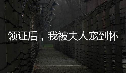 領(lǐng)證后，我被夫人寵到懷疑人生