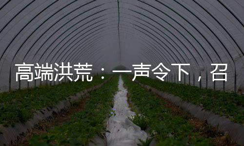 高端洪荒：一聲令下，召回所有穿越者！
