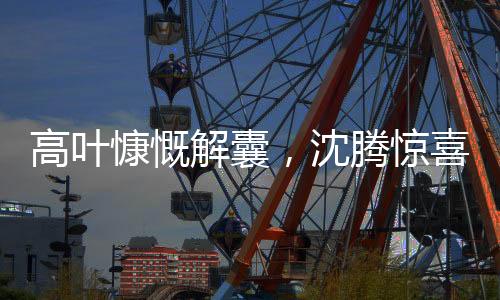 高葉慷慨解囊，沈騰驚喜獲贈衣物——友情助力背后的暖心故事