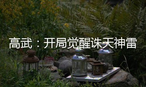 高武：開(kāi)局覺(jué)醒誅天神雷