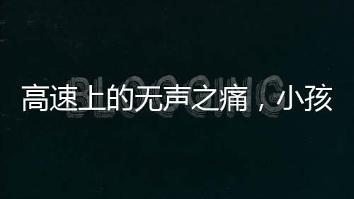 高速上的無聲之痛，小孩哥終于發(fā)聲