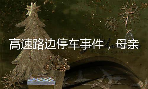 高速路邊停車事件，母親打孩子引發(fā)社會關(guān)注