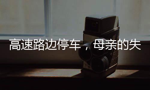 高速路邊停車，母親的失控與孩子的受傷