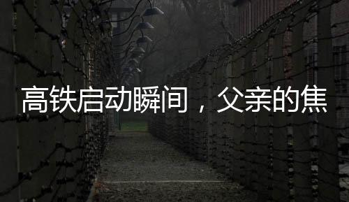 高鐵啟動(dòng)瞬間，父親的焦急與兒子的疏忽——一次未上車的啟示