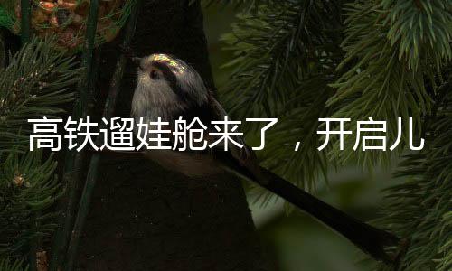 高鐵遛娃艙來了，開啟兒童友好出行新篇章
